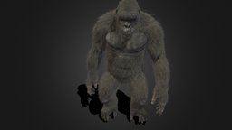 Kong_2021__ animated