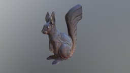 Squirrel / Wiewiórka