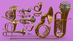 Brass Instrument Collection