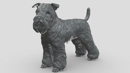 wheaten terrier V1 3D print model