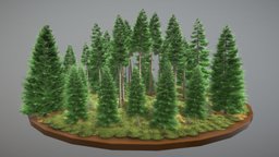 Spruce Forest / Fichtenwald