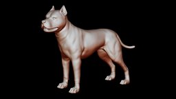 American Pitbull Pose 01 3D print model