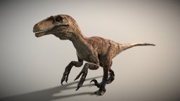 Dakotaraptor (Scaly)