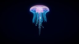 Jellyfish animated loop