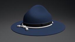 Campaign Hat (Blue)