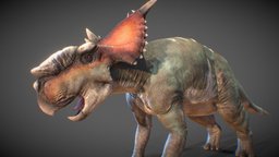 Pachyrhinosaurus lakustai (To animation)