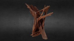 3D Model  Real Wood Root-1 Radikale