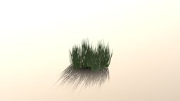 Detailed Grass