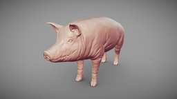 Pig 3D Print Model
