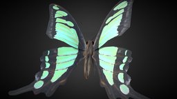 Graphium Cloanthus Kuge Rigged