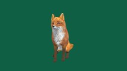 Red Fox 🦊