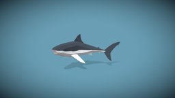 Low Poly Megalodon
